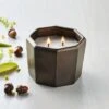Octagonal Ceramic Autumn Cider Fall Jar Candle Metallic Bronze - Hearth & Hand™ With Magnolia -Hearth & Hand With Magnolia Shop GUEST 750cb10c c9fa 4e13 aee0 d42b81a9d9f0