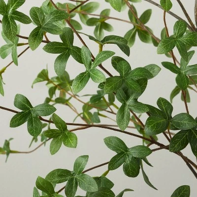 55" Faux Gypsophila Leaf Tree - Hearth & Hand™ With Magnolia 4 55" Faux Gypsophila Leaf Tree - Hearth & Hand™ With Magnolia - Image 2