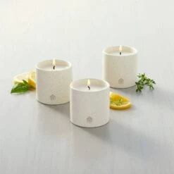 9oz Basil/Lemon/Thyme Speckled Ceramic Kitchen Candle Set - Hearth & Hand™ With Magnolia