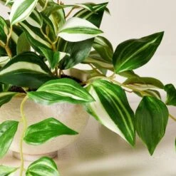 7"x19" Faux Variegated Zebrina Plant - Hearth & Hand™ With Magnolia -Hearth & Hand With Magnolia Shop GUEST cadd6bcc bc10 4437 830b 5931f6ce1d3f